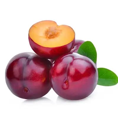 Cherry Plum